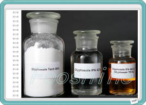 Agrochemical Glophosate Powder95% Tc Heribicide Glyphosate