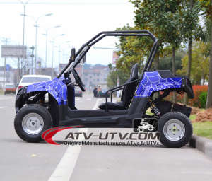 2017 New China UTV Cheap for Sale