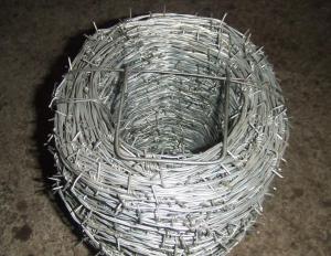 Galvanized Barbed Wire with Factory Price